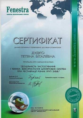 Сертификат по применению штифтовых систем Дудко Т.В. штифтовые системы 2013 год