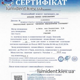 сертификат, стоматолог терапевт Дульнев Кирилл 